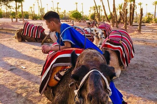 Tour image 2